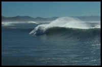 015 Nice  Wave.jpg (355060 bytes)